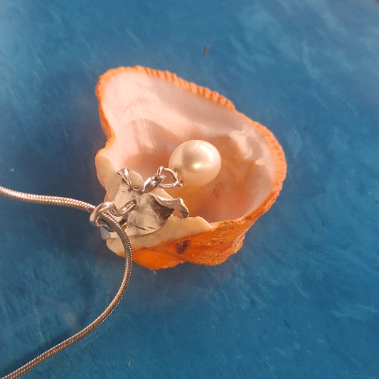 Sunset Shell