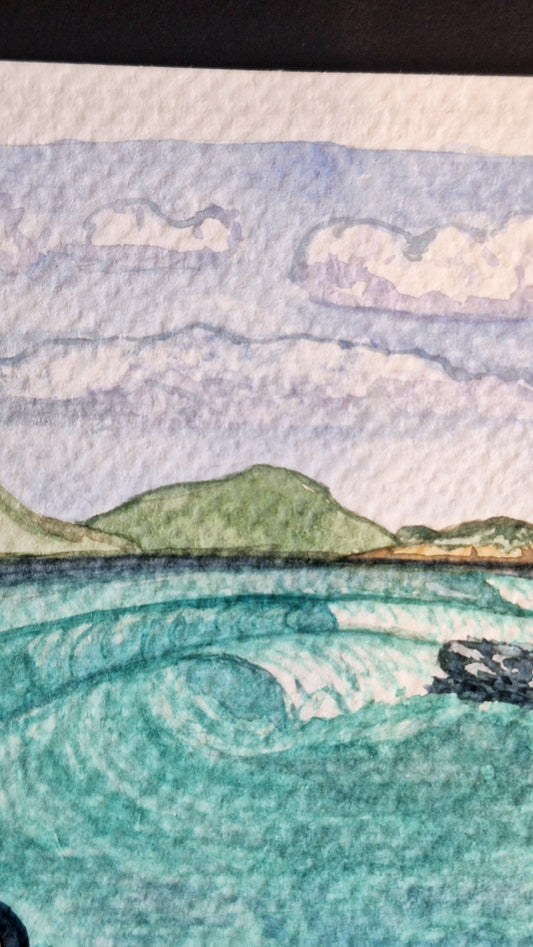 Cane Garden Surf
