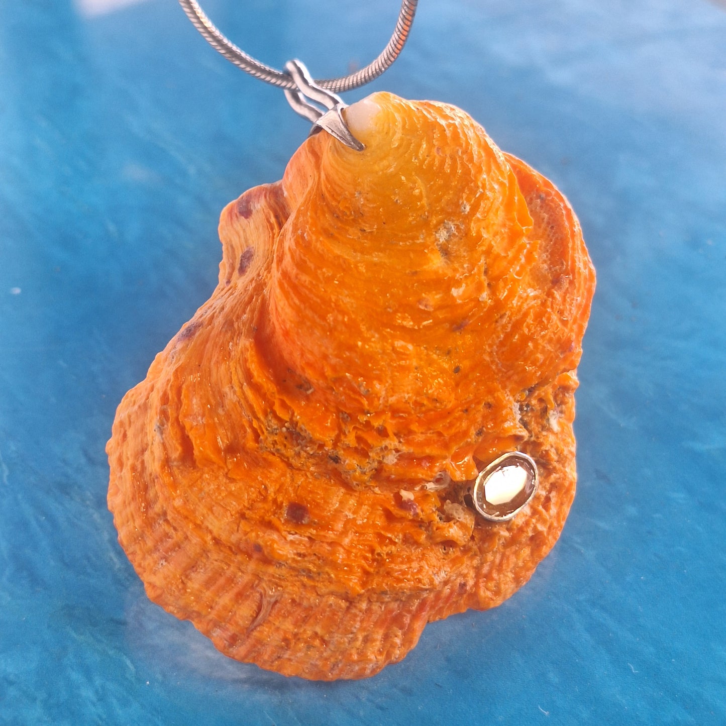Sunset Shell