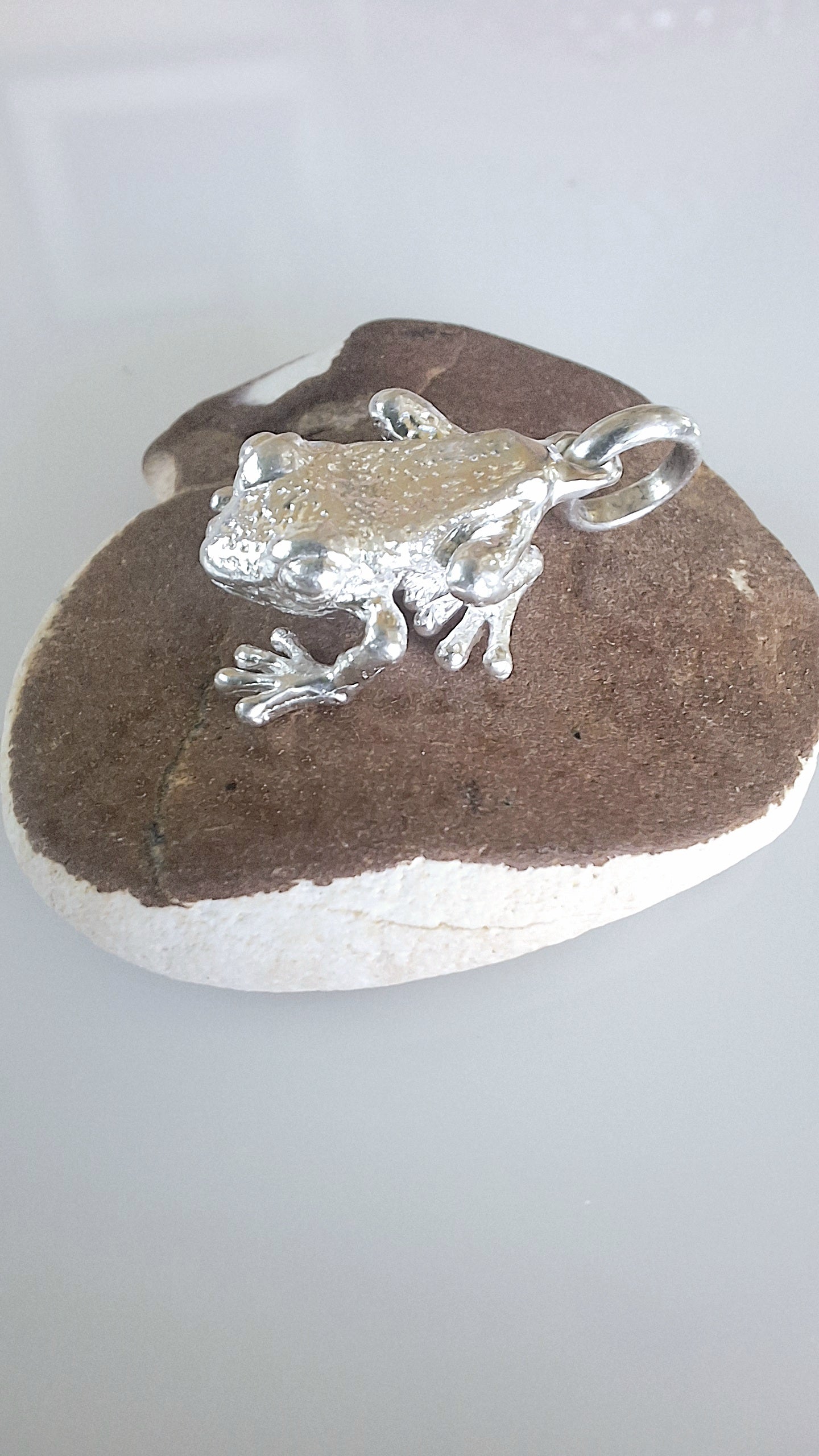 Coqui de PR
