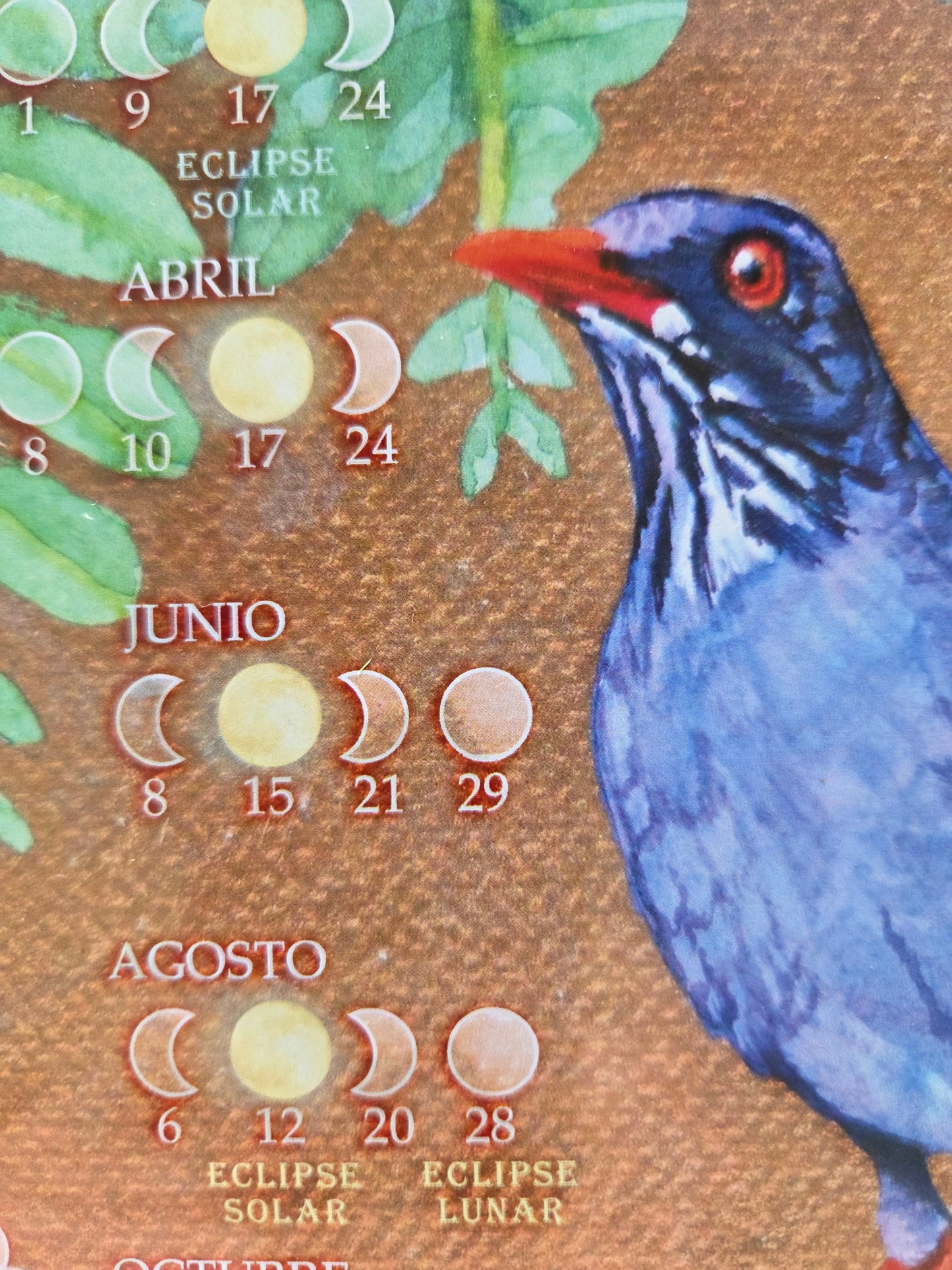 Lunatic Calendar 2026
