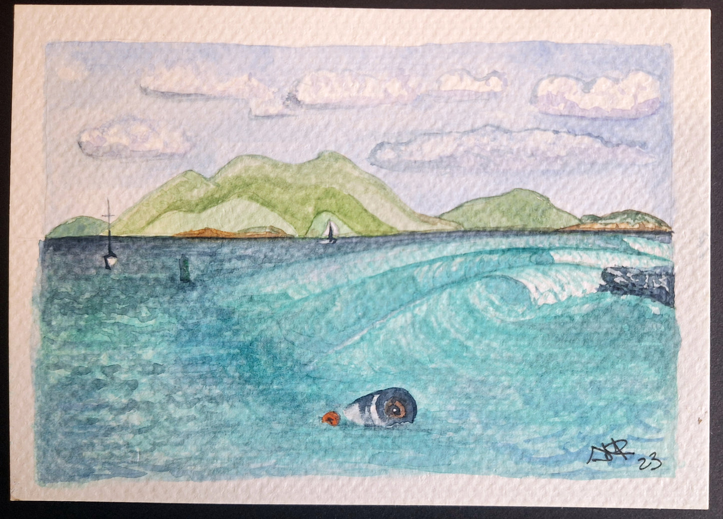 Cane Garden Surf