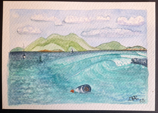 Cane Garden Surf