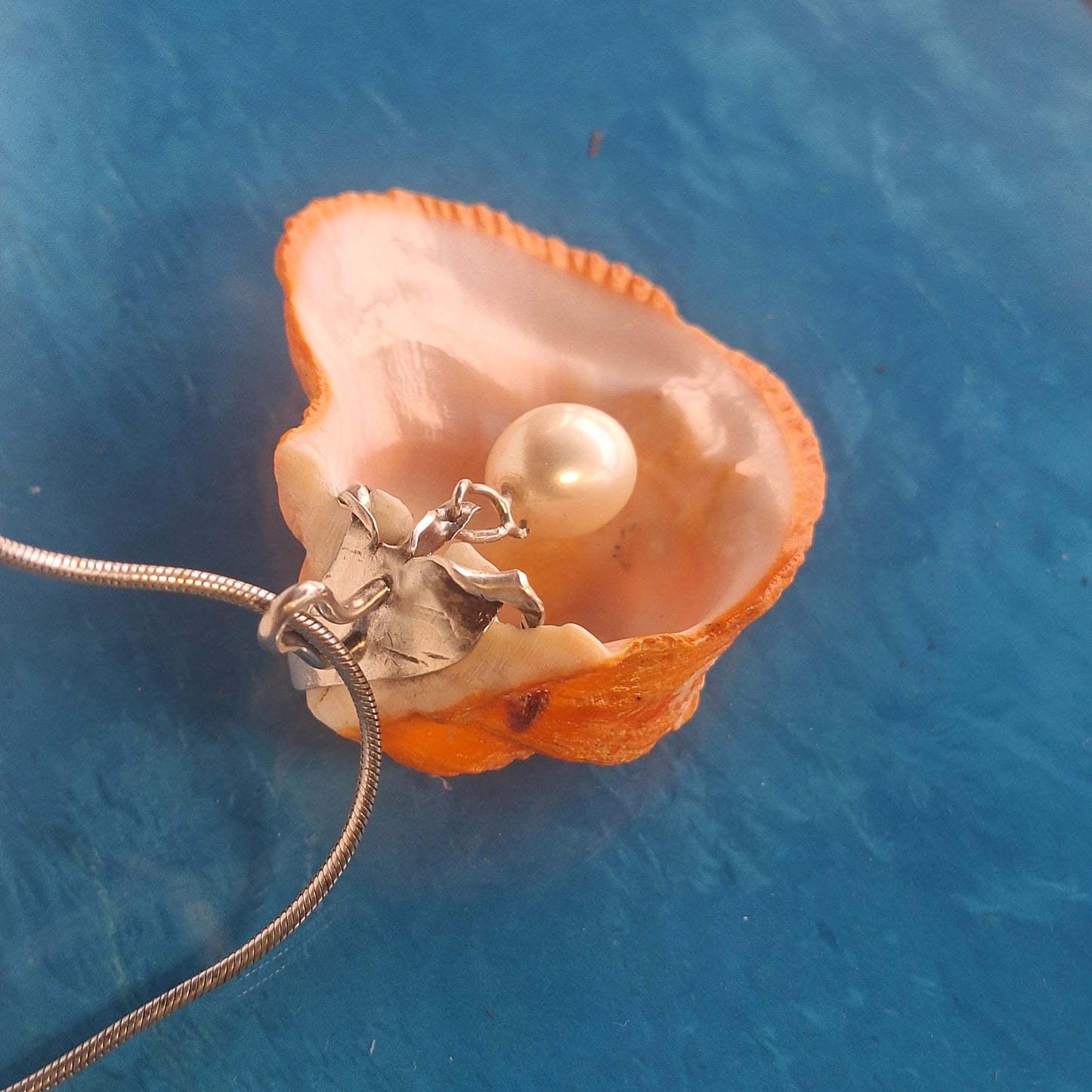Sunset Shell