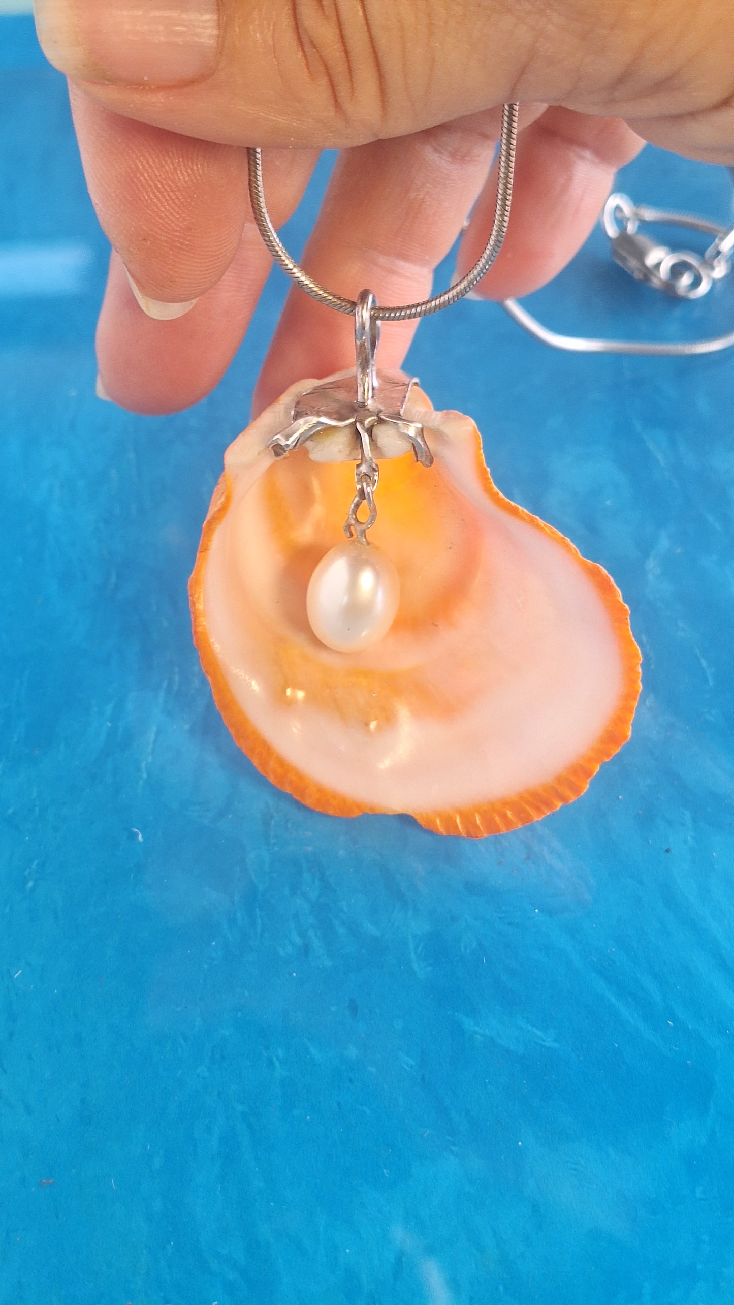 Sunset Shell