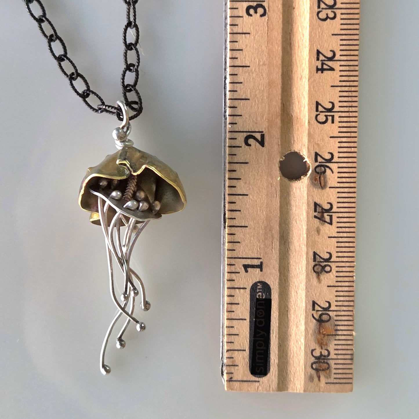 Bronze Jellyfish