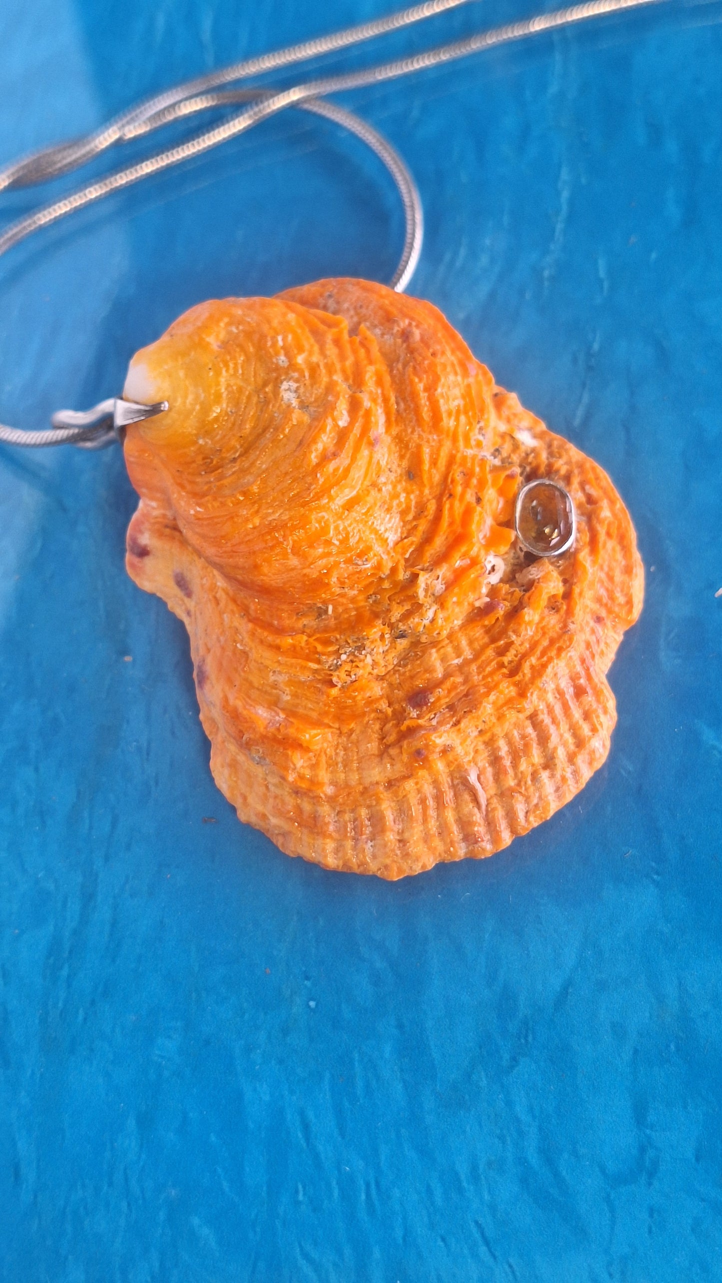 Sunset Shell