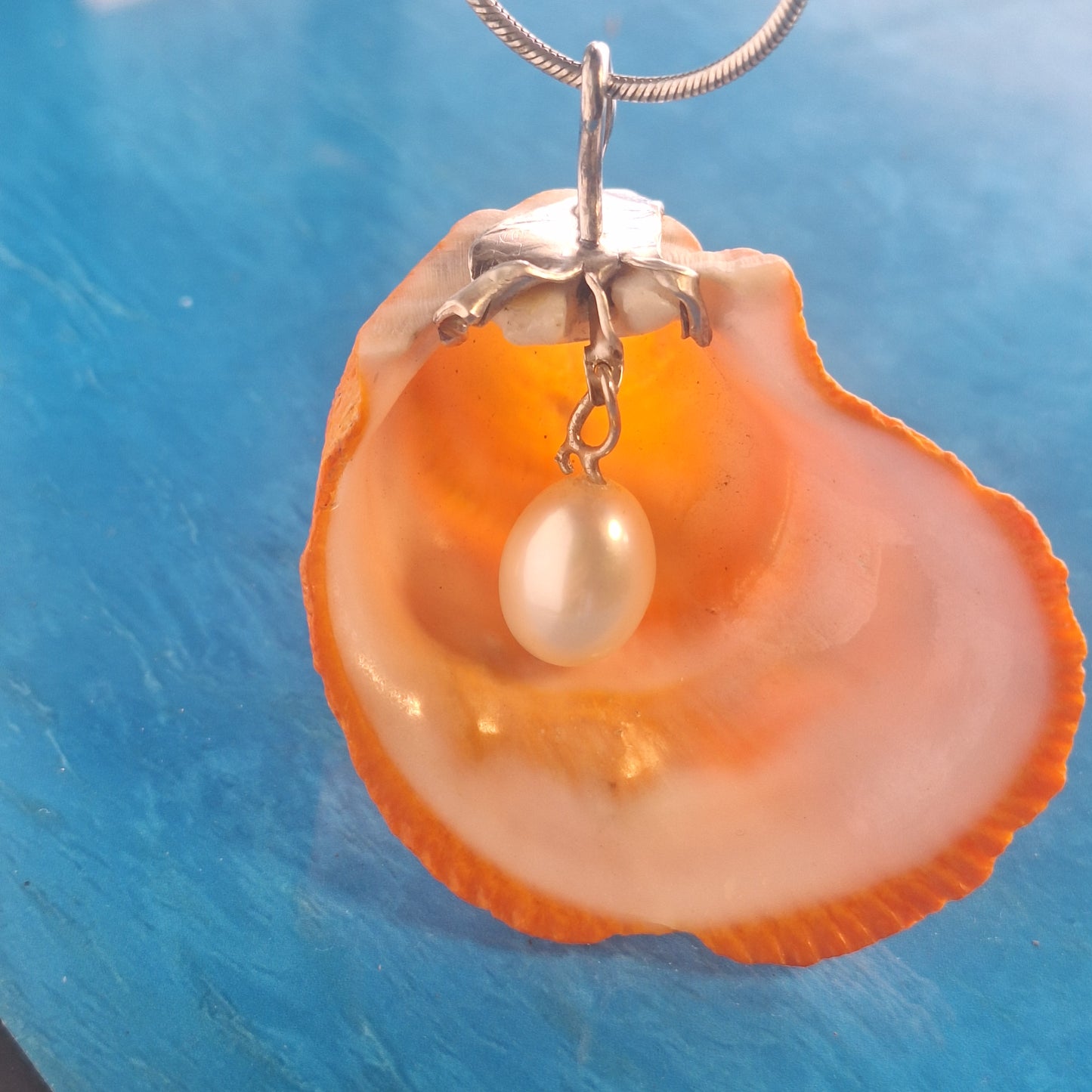 Sunset Shell