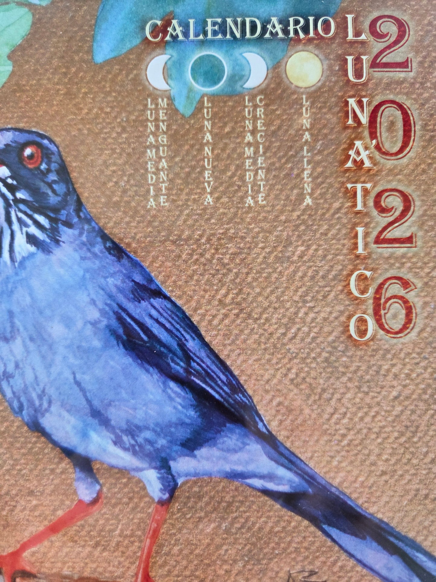 Lunatic Calendar 2026